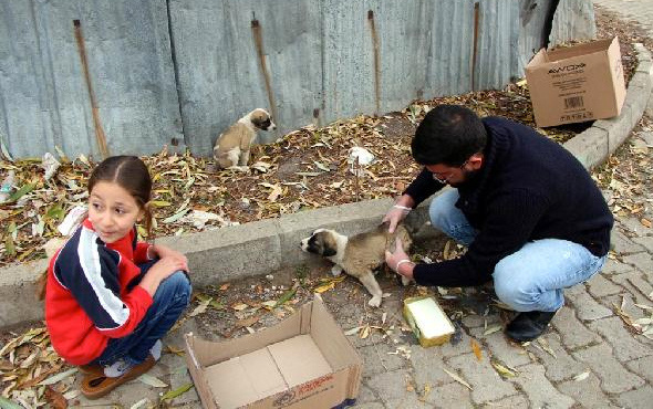 9 yaşındaki çocuk yavru köpeği bakın nasıl kurtardı