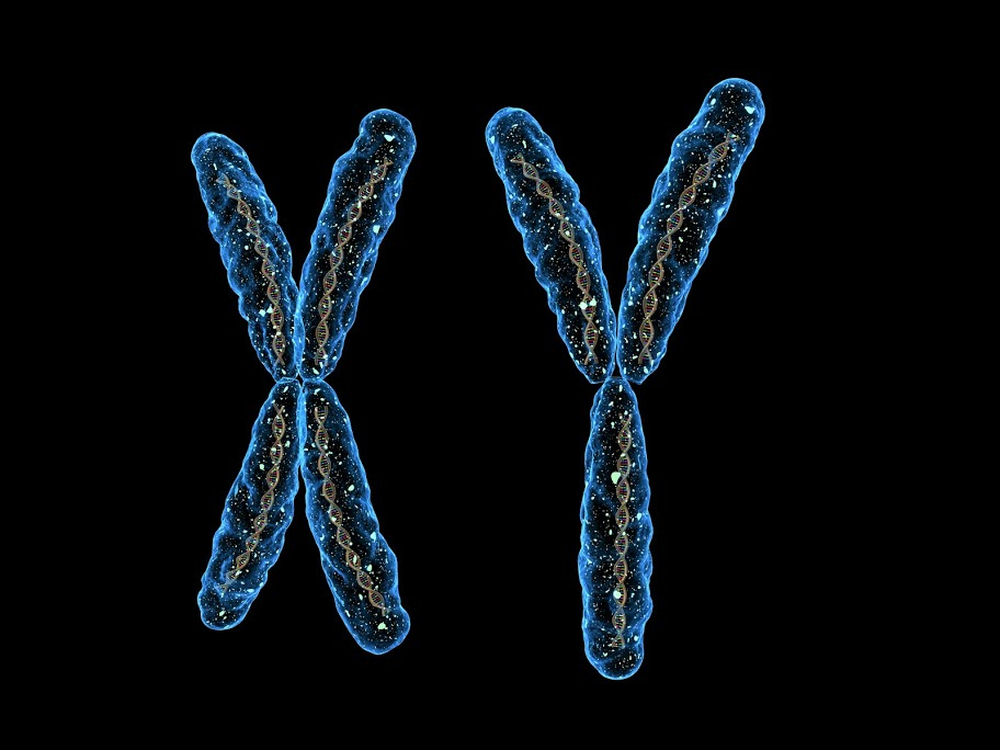 DNA araştırmasına göre 'kardeş' ülkeler hangileri