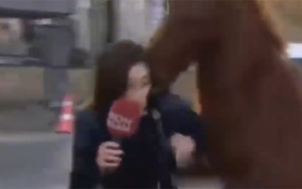 Başıboş at, Show Haber muhabirine saldırdı!