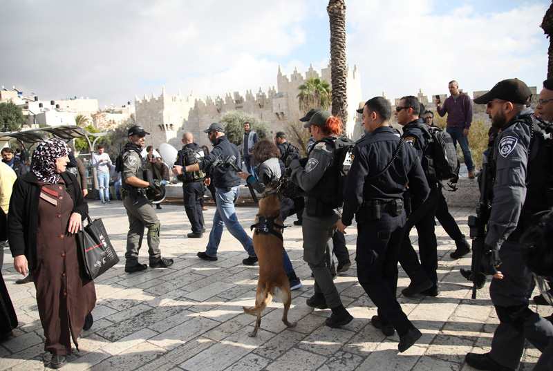 İsrail Mescid-i Aksa'da köpekleriyle saldırdı! Dehşet kareler