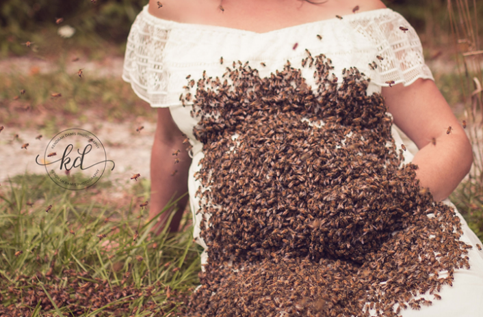 Hamile kadın arılarla fotoğraf çektirdi işin sonu çok korkunç