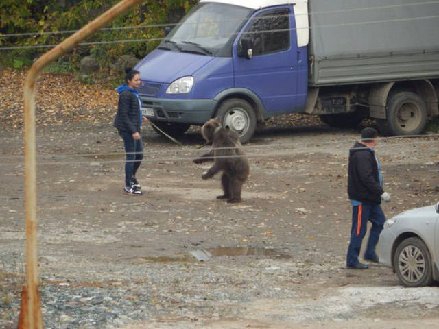 Yıllarca koynunda yılan değil ama 'timsah' besledi bakın ne oldu