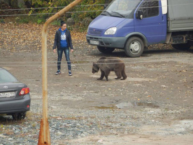 Yıllarca koynunda yılan değil ama 'timsah' besledi bakın ne oldu