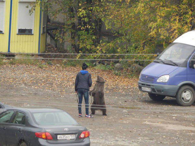 Yıllarca koynunda yılan değil ama 'timsah' besledi bakın ne oldu