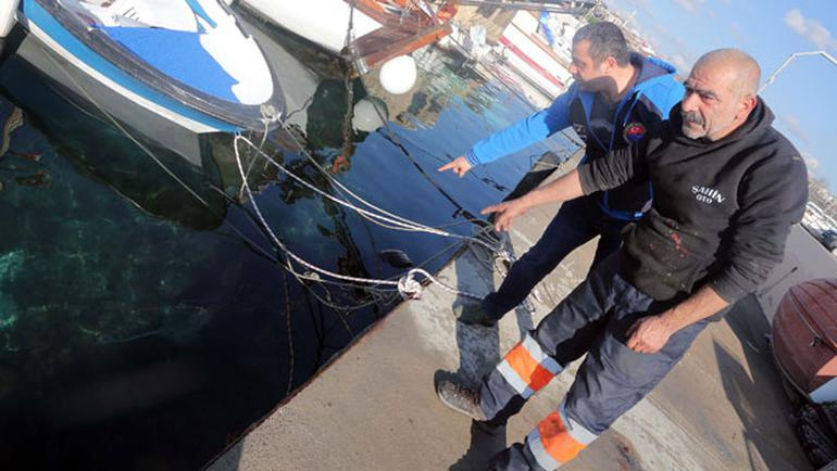 İstanbul'da ürküten olay: Peş peşe sahile vurdular!