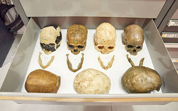 Cezayir'de soykırım yapıp kafataslarıyla Paris'te müze açmışlar!