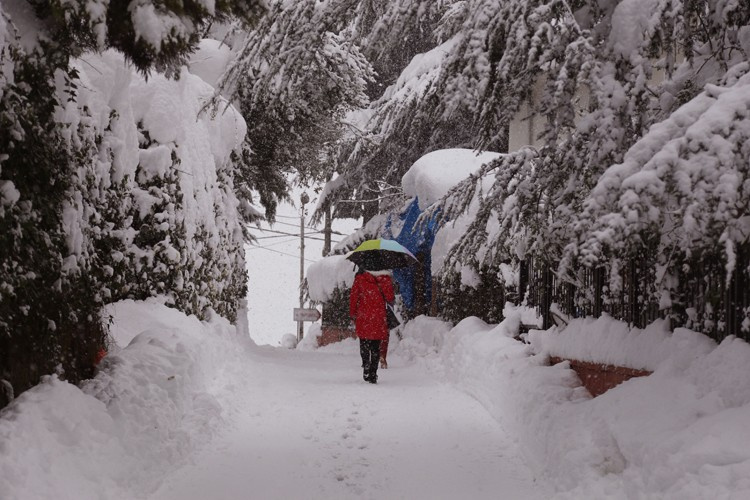 Trabzon'da kar yolları kapadı!