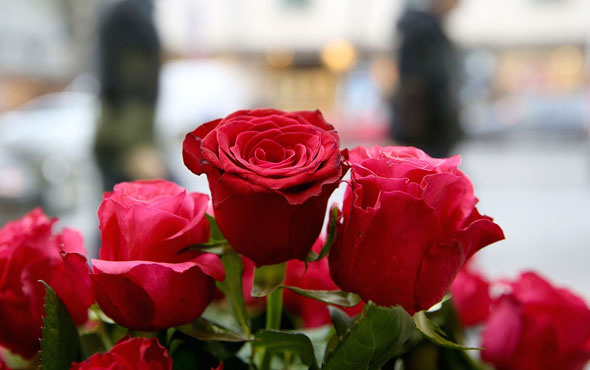 Sevgililer Günü gülleri ne kadar olacak?
