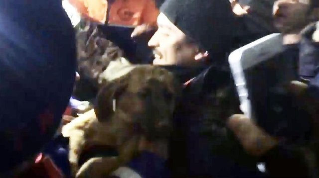 Beykoz'da kuyuya düşen köpek kurtarıldı ilk kareler