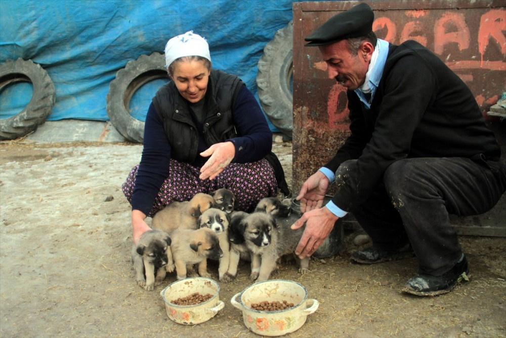 Elazığlı köylü kadını öyle güzel bir 'iyilik' yaptı ki... 