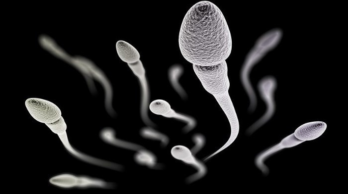 Cep telefonu ile sperm testi!