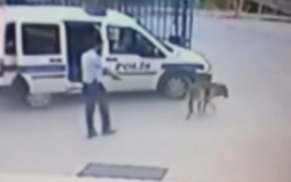 İzmir’de köpek vuran komiser Fetö’cü çıktı