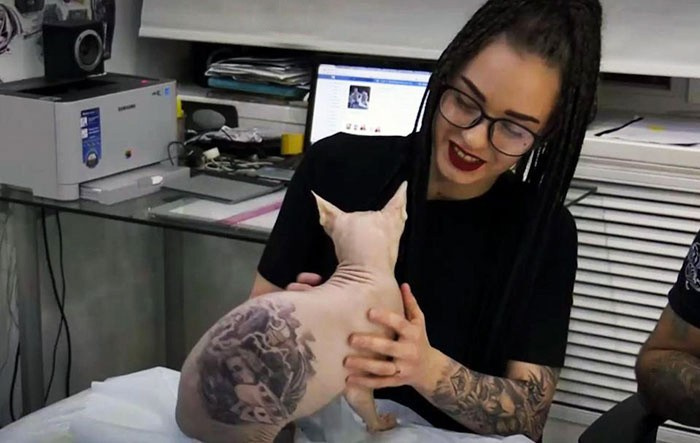 Bu nasıl vicdan! Kediyi uyuşturup dövme yaptı