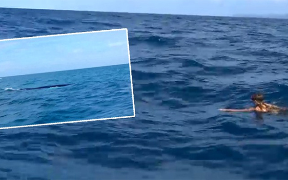 Survivor'ın ünlü ismi yüzerken dev bir balinayla karşılaştı!