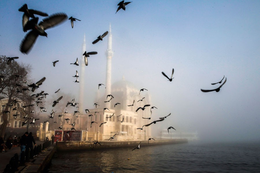 Yoğun sis İstanbul'u kaybetti! Hangi seferler iptal oldu?