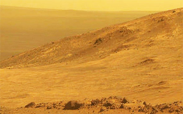 NASA bunu da yaptı! Mars'ta patates yetiştirdi