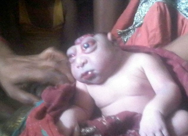 Dünyanın konuştuğu maymun tanrı bebek! Görüntü inanılmaz