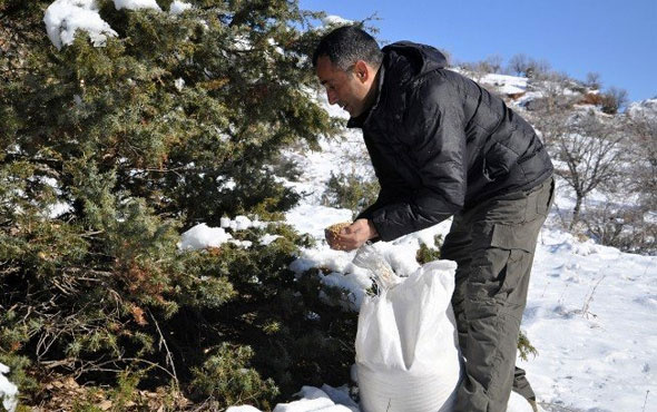 Tunceli'de yaban hayvanları için doğaya yem bırakıldı