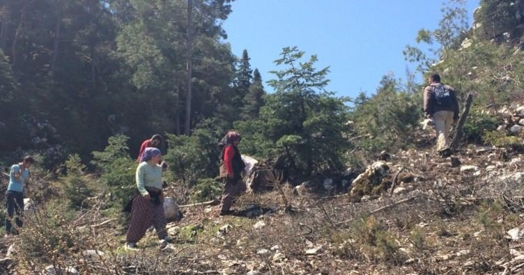 Tazesi ayrı kurusu ayrı değerli