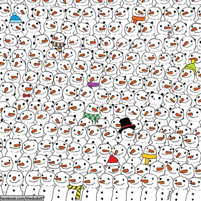 Bu fotoğrafta bir panda var ama kimse bulamıyor!