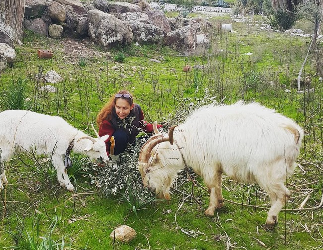 Bilun Dohmen mankenliği bıraktı koyun otlatıp keçi sağıyor