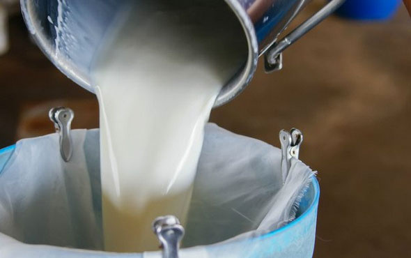 Çiğ süt satışında yeni dönem 24 saat içinde...