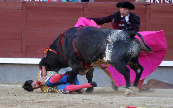 Çılgın boğa, matadorun boğazını boynuz darbesiyle deldi