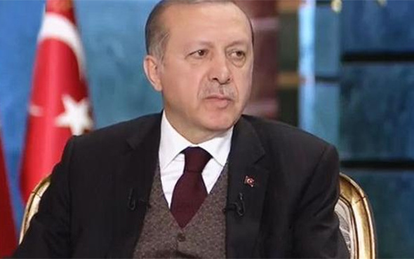 Cumhurbaşkanı'ndan CHP'li vekile: 'Sen geri zekalısın'