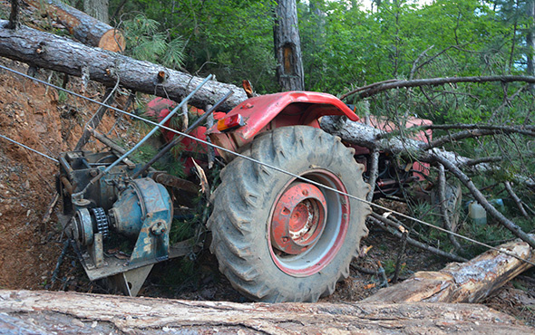 Karabük'te üzerine ağaç devrilen işçi hayatını kaybetti