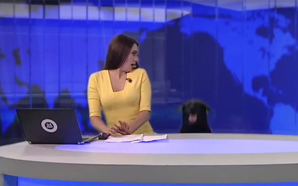 Rus spikerin canlı yayında yaşadığı köpek paniği!