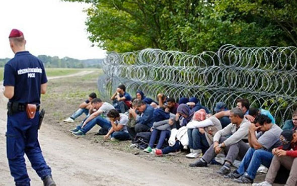 Macaristan'a yasa dışı yollardan sığınmacı girişi