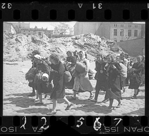 Nazi fotoğraflarını gizli gizli çekti! Bebekleri sıraya dizip...