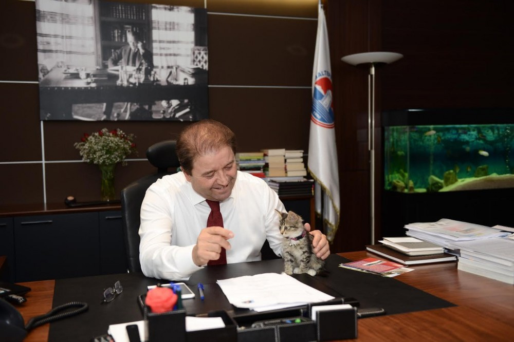 Maltepe'nin Nazlı'sı sosyal medyanın gündeminde