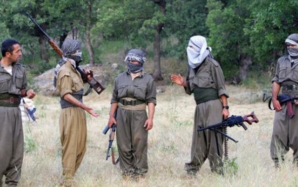PKK'ya ağır darbe örgütün önemli ismi öldürüldü