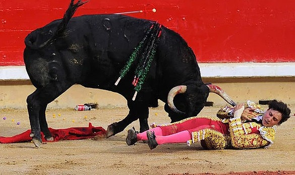 Etme bulma dünyası! Dünyaca ünlü matador boğa tarafından nasıl öldürüldü