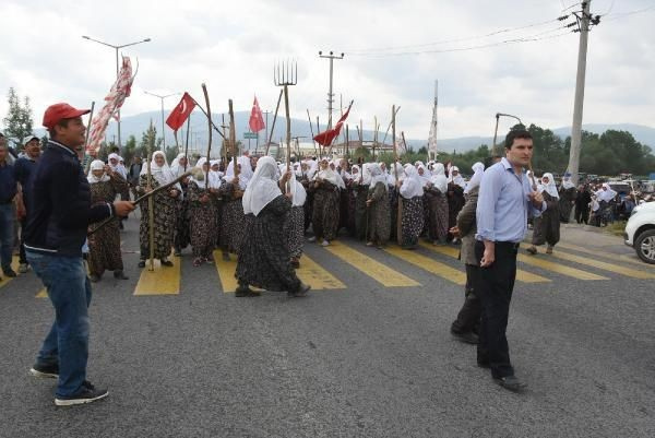 Kadınlar ellerinde balta ve tırpanlarla yolu kesti