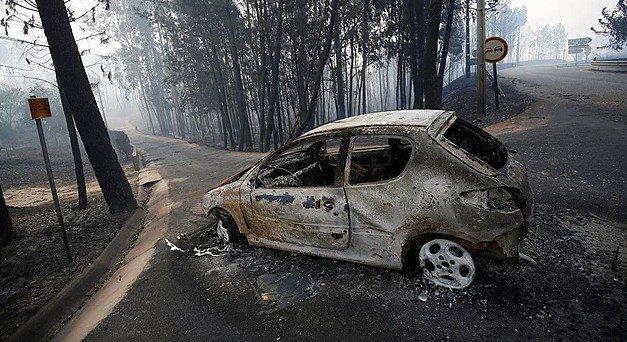 Orman Yangını: 62 kişi hayatını kaybetti..
