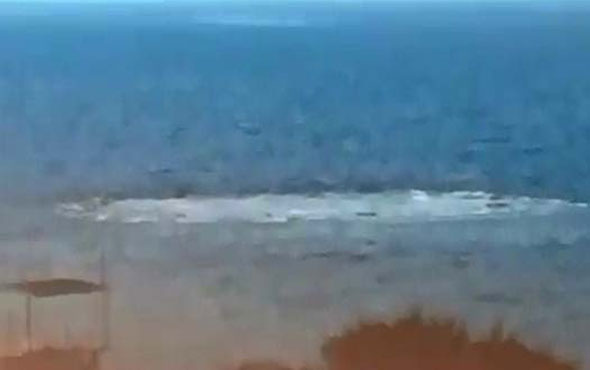 Ayvacık sahilinde denizde ürküten görüntü