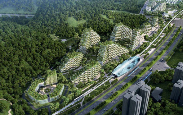 Çin ilk orman kentini inşaya hazır inanılmaz fotoğraflar