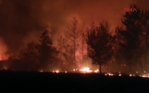 Datça'da Orman Yangını