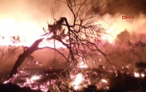 Muğla Datça'da orman yangını