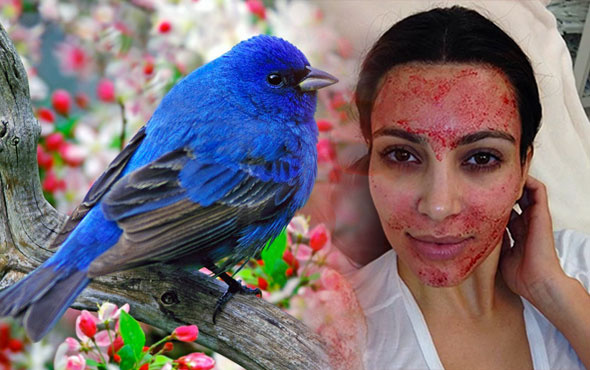 Kim Kardashian'ın güzellik sırrı kuş boku ve kendi kanı! 