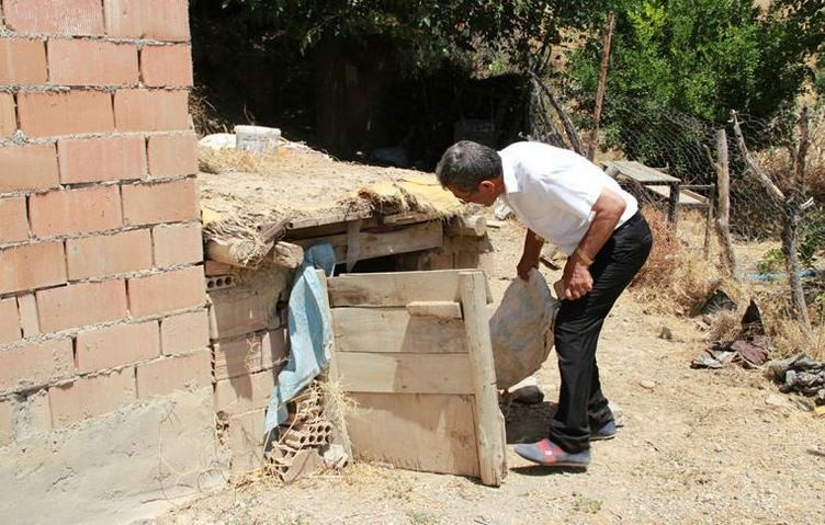 Kümesin içine baktığında şoke oldu öyle bir şey çıktı ki...