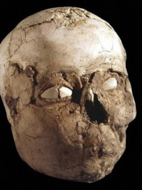 Dünya bu keşfi konuşuyor Şanlıurfa'da bulunan tarihi kemiklere bakın