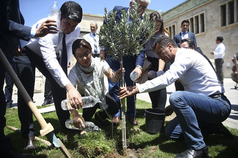 CHP'liler Meclis bahçesine zeytin ağacı dikti