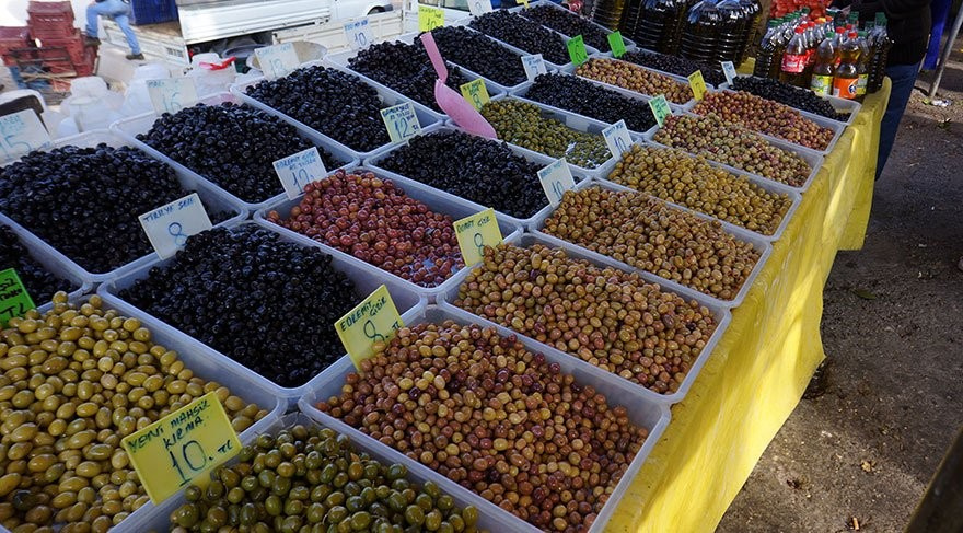 Türkiye'nin zeytin haritası hangi bölgede ne yetişiyor?