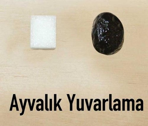 Türkiye'nin zeytin haritası hangi bölgede ne yetişiyor?