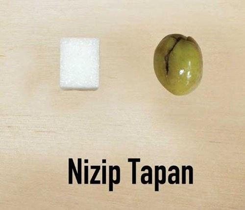 Türkiye'nin zeytin haritası hangi bölgede ne yetişiyor?