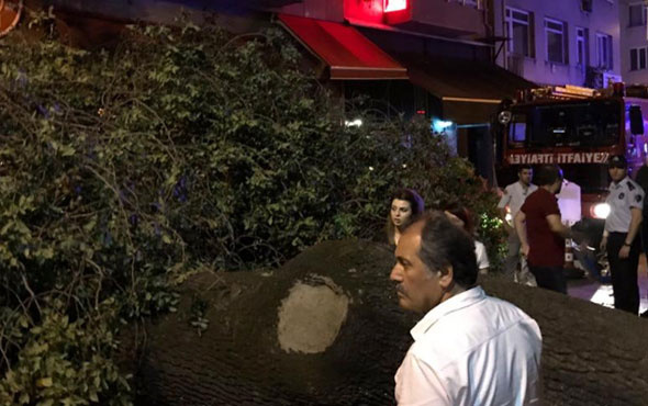 Kadıköy'de kafenin üzerine ağaç devrildi 2 yaralı