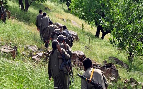 PKK'ya Bingöl'de bir darbe daha